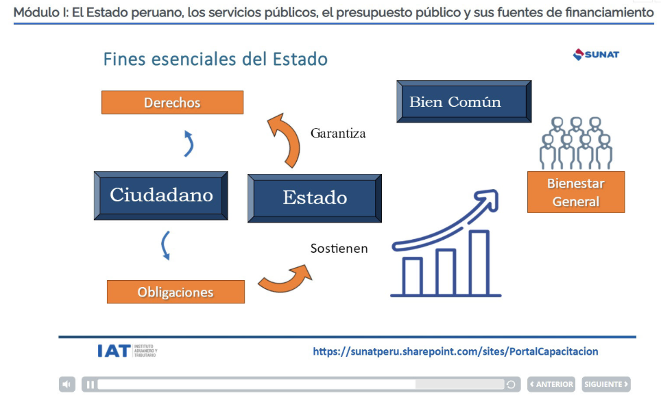 Proyecto 13