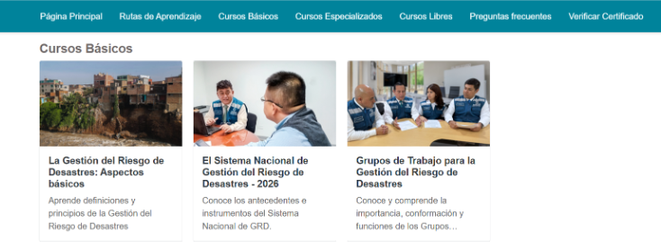 Proyecto 21